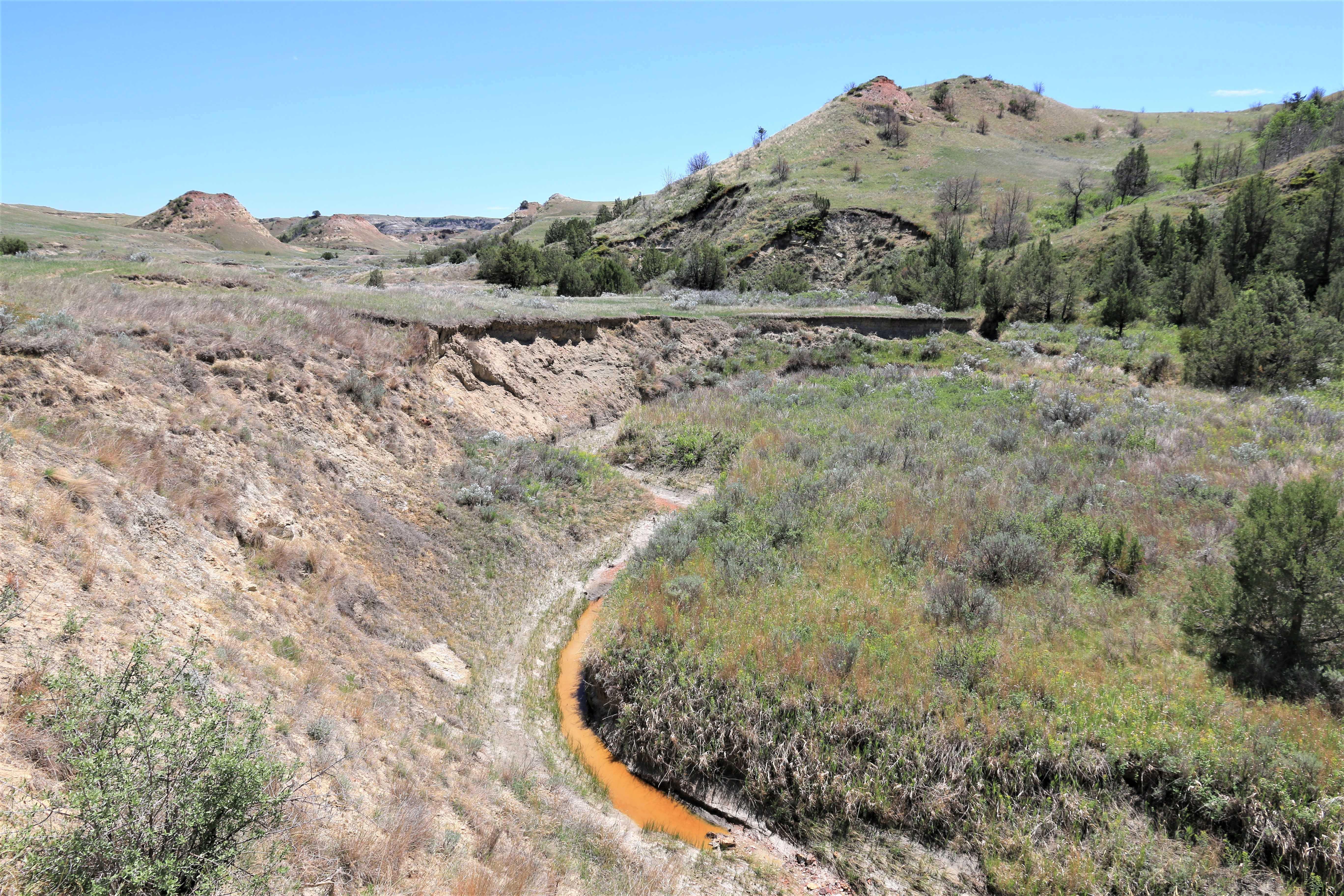 Theodore Roosevelt NP